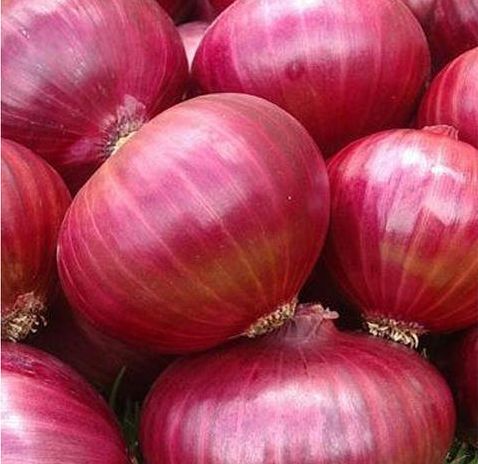 Red Natural Fresh Nashik Onion, For Cooking, Packaging Type : Net Bags