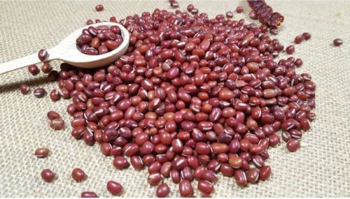 Red Organic Adzuki Beans, For Cooking, Grade Standard : Food Grade