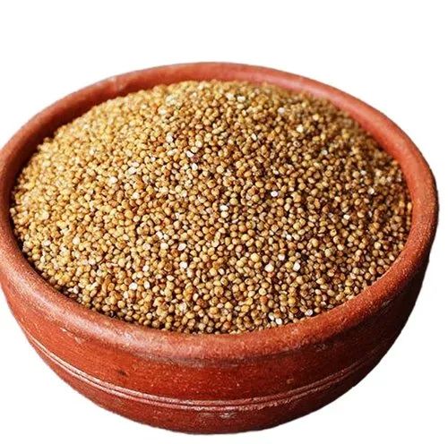 Organic Kodo Millet, For Cooking, Variety : Hybrid