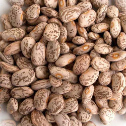 Brown Organic Pinto Beans, For Cooking, Grade Standard : Food Grade