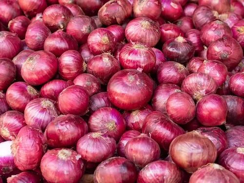 A Grade Red Onion, For Cooking, Shelf Life : 20 Days +