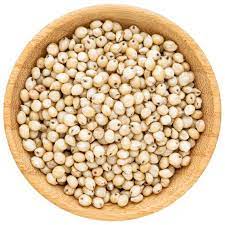 Natural White Sorghum Seeds, Style : Dried