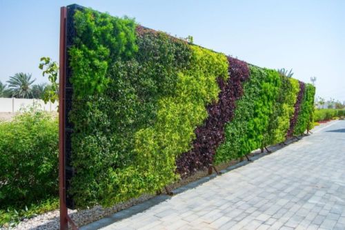 PE Vertical Garden Wall, Color : Multicolor