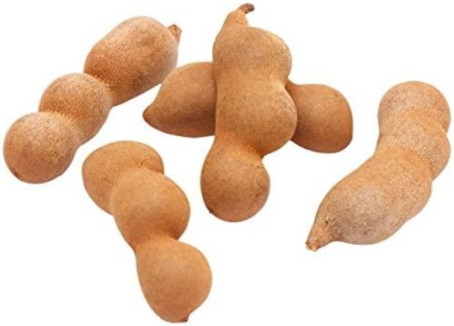 Organic Fresh Tamarind, Style : Natural