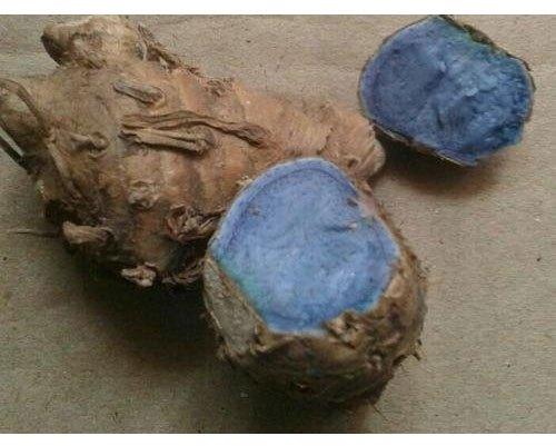 Natural Dried Black Turmeric, Certification : FSSAI Certified