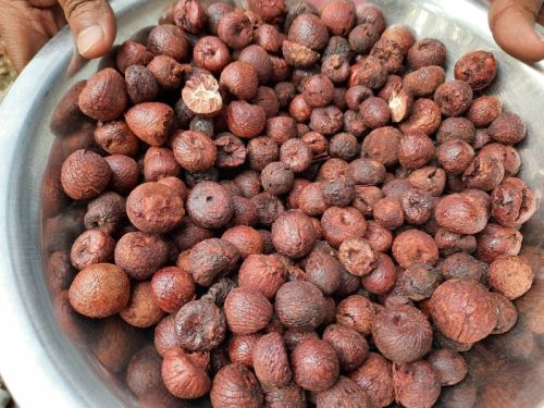 Natural Raw A Grade Areca Nuts, Color : Red, Packaging Size : 75 Kg