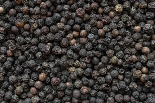 Natural A Grade Black Pepper Seeds, Packaging Size : 25kg & 50kg