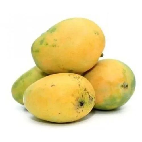 Natural Fresh Banganapalli Mango, Shelf Life : 10 Days