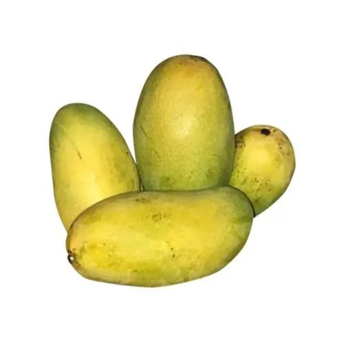 Natural Fresh Dasheri Mango, Shelf Life : 10 Days