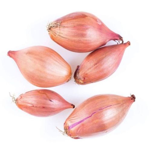 Light Pink Natural Fresh Shallot Onion, For Cooking, Packaging Type : Net Bags