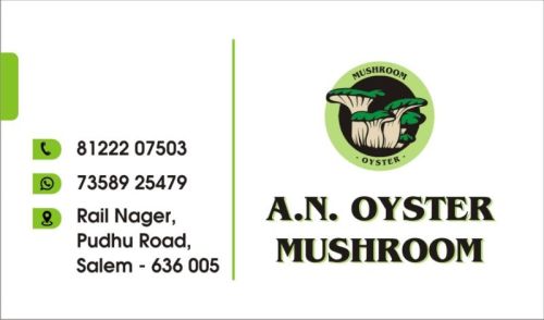 A.N Oysters Mushroom, Quality Available : A Grade