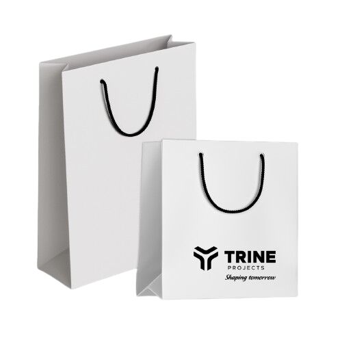 Printed Paper Bags, Style : Handled