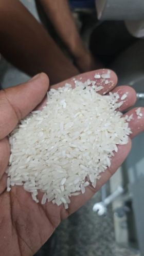 White Short Grain Rice