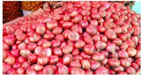 Red Onion, For Human Consumption, Packaging Type : Gunny Bag