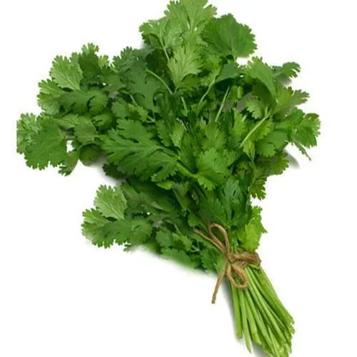 Green Fresh Coriander Leaves, For Cooking, Packaging Type : PP Bags