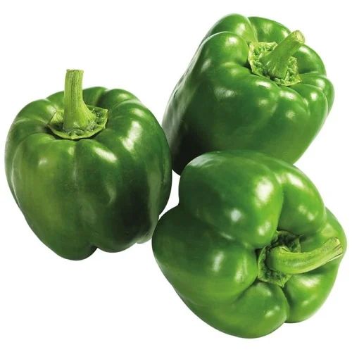 Fresh Green Capsicum, For Cooking, Shelf Life : 5-7days