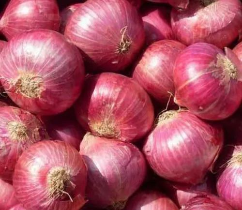 Fresh Red Onion, For Cooking, Quality Available : A Grade