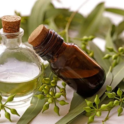 Eucalyptol Oil