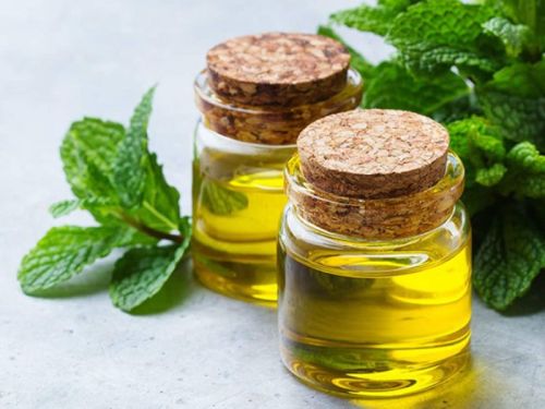 Mentha Piperita Oil, Packaging Type : Glass Bottles
