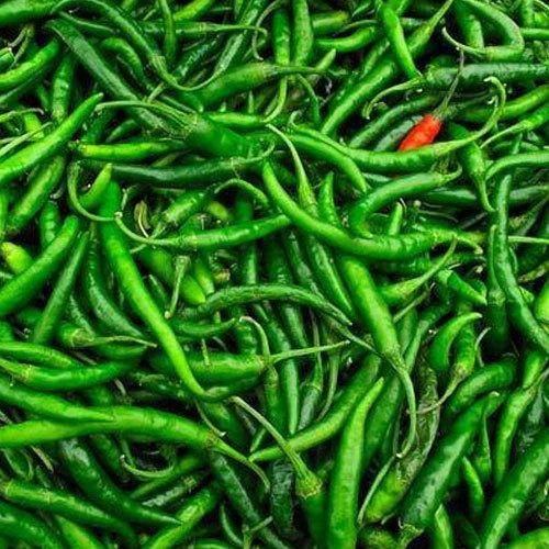 Fresh G4 Green Chilli, Packaging Size : 25 Kg