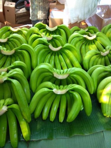 Fresh Green G9 Banana, For Human Consumption, Packaging Type : Plastic Crates