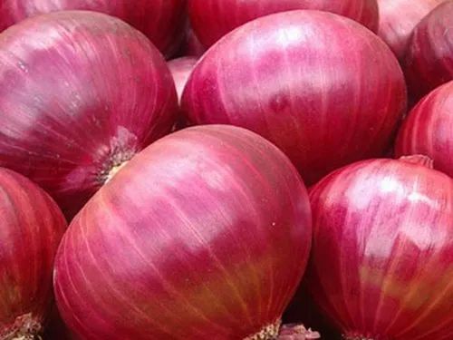 Fresh Pink Onion, For Human Consumption, Packaging Size : 25kg