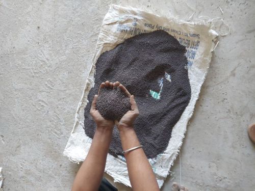 Organic Black Mustard Seeds Small, Moisture : 5.00%