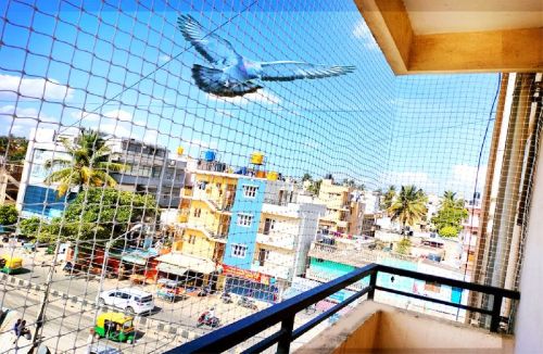 Rectangular Pigeon Control Nets, For Insect Protection, Size : 70x30inch, 72x32inch, 78x38inch