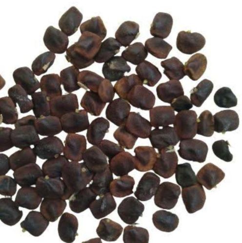 Organic Aparajita Seeds /clitoria Ternatae (botanical Name)