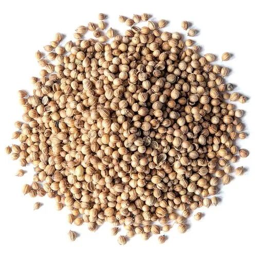 Solid Raw Natural Brown Coriander Seeds, For Spices, Purity : 100%