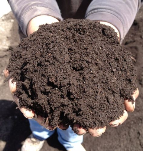 Bio Organic Fertilizer, For Agriculture, Purity : 100%