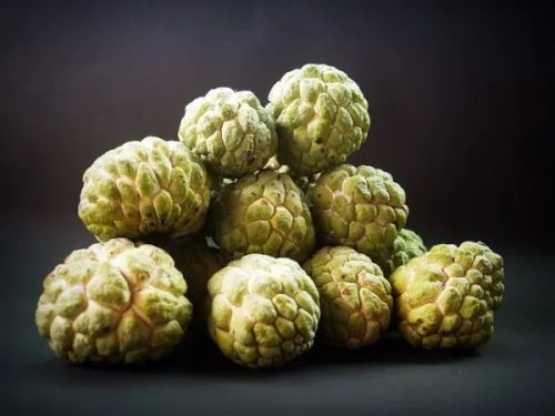 Green Organic Fresh Custard Apple, For Human Consumption, Packaging Type : Plastic Box