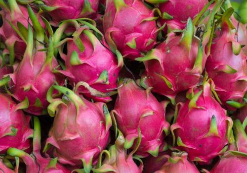 Pink Organic Fresh Dragon Fruit, For Human Consumption, Packaging Type : Plastic Box