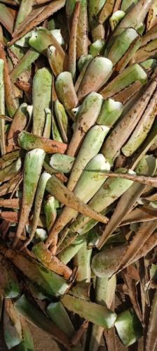 Bar Bandis Common Aloevera For Juice