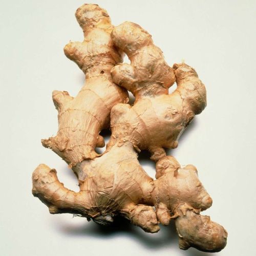 Light Brown Fresh Ginger, Packaging Type : Net Bag