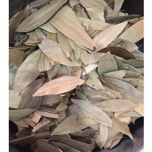 Natural Bay Leaf, Packaging Type : Vacuum Packed