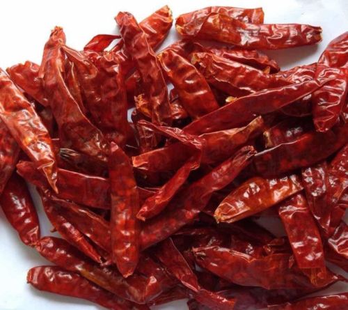 Natural Stemless Red Chilli, Certification : FSSAI Certified