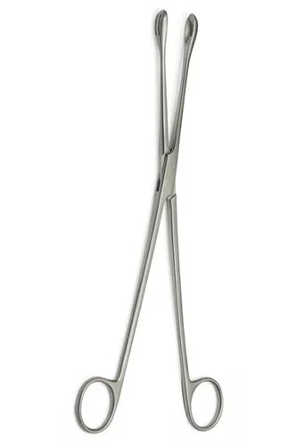 Silver SS410 100grem Ovum Forceps, Size/Dimension : 10'' Inch