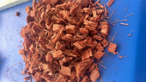 GMO Coconut Husk Chips, Packaging Type : Red-brown for Making Blocks