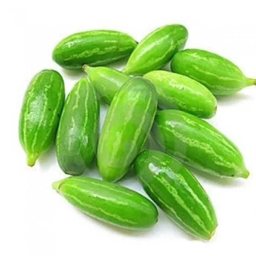 Green Whole Fresh Tindly, For Cooking, Quality Available : A Grade