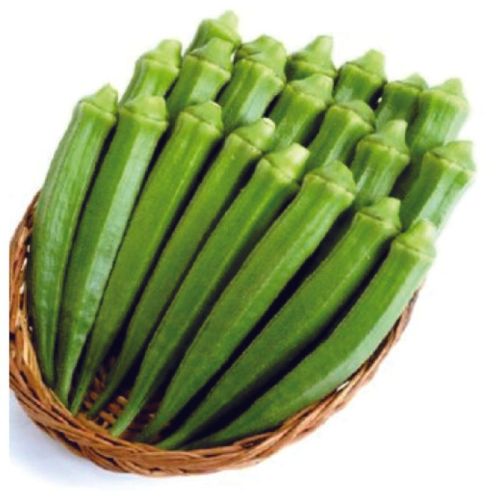 Green Fresh Ladies Finger, For Cooking, Packaging Type : Paper Carton Box