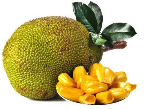 Green Jackfruit, For Cooking, Packaging Type : Paper Carton Box