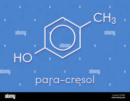 Para Cresol, CAS No. : 106-44-5