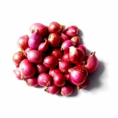 Fresh Baby Onion, For Cooking, Packaging Type : Gunny Bags