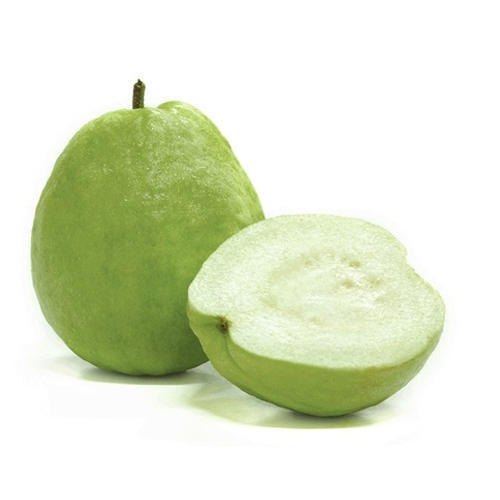 Round Natural Fresh Green Guava, For Human Consumption, Shelf Life : 10 Days