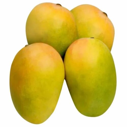 Natural Fresh Kesar Mango, For Juice Making, Direct Consumption, Packaging Size : 10 Kg