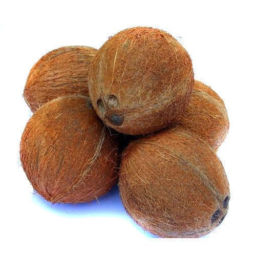 Brown Organic Fully Husked Coconut, For Pooja, Medicines, Style : Natural