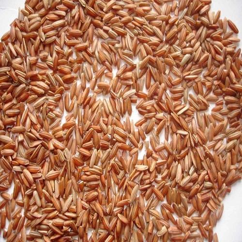 Hard Natural Brown Rice, For Cooking, Human Consumption, Certification : FSSAI Certified