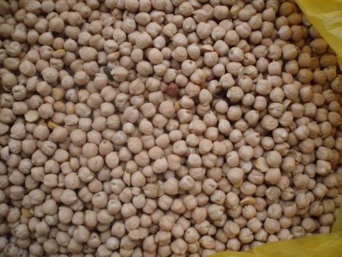 Organic chickpeas, Packaging Size : 50gm, Packaging Type : Brown