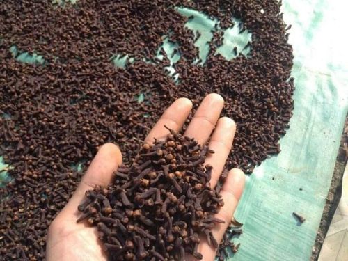 Patanjali Natural Dry Cloves, Packaging Size : 10 Kg Food Grade